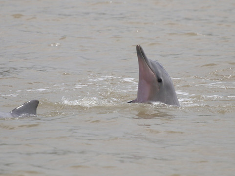 Ilet la Mere-卡宴必去景点