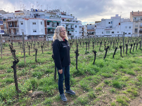 Centre d'Interpretacio De La Malvasia-锡切斯必去景点