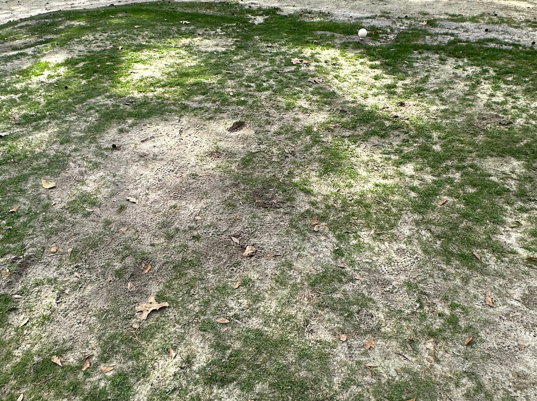 Henderson Golf Club-萨凡纳必去景点