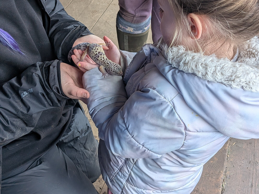 Burntwood Alpaca and Animal Experience-Burntwood必去景点