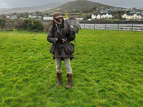 Kingdom Falconry - Dingle-丁格尔必去景点