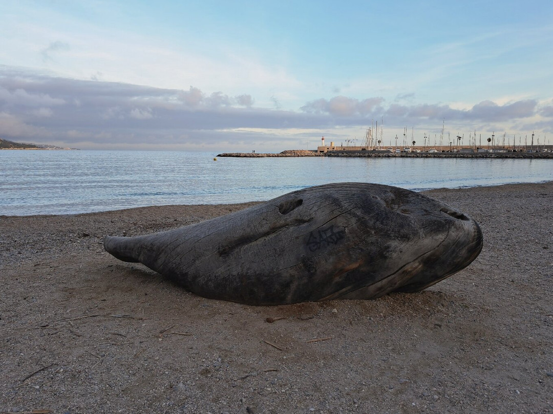 Plage des Sablettes-芒通必去景点