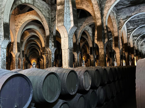 Bodegas Fundador-赫雷斯德拉弗隆特拉必去景点