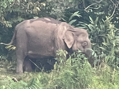 Borneo Beyond Adventure-亚庇必去景点
