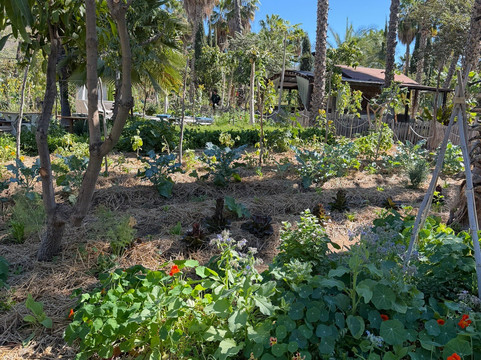 Flora Farms-洛斯卡布斯必去景点