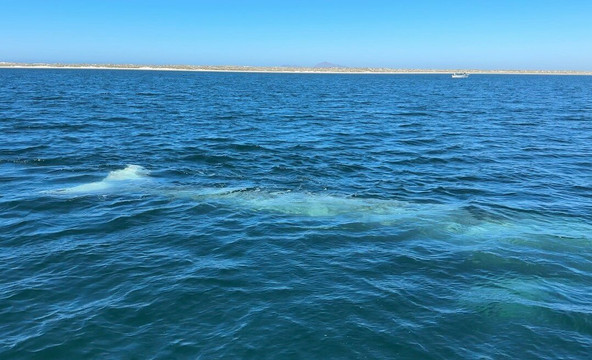 Murillos Bros Adventours-Puerto San Carlos必去景点