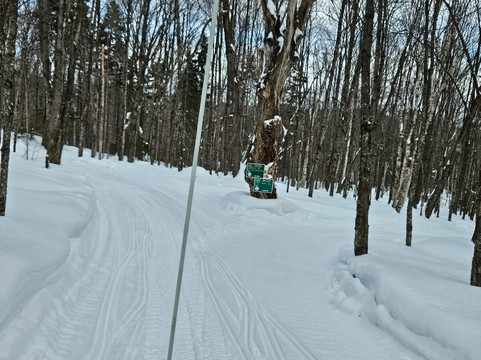 Snowmobile Vermont-斯托必去景点