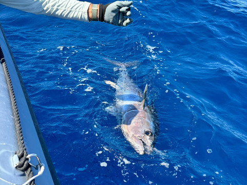 Experience Peche-勒格罗迪鲁瓦必去景点