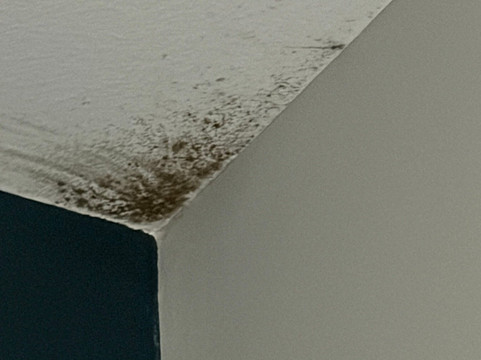 旅屋酒店-韦德布里奇主图