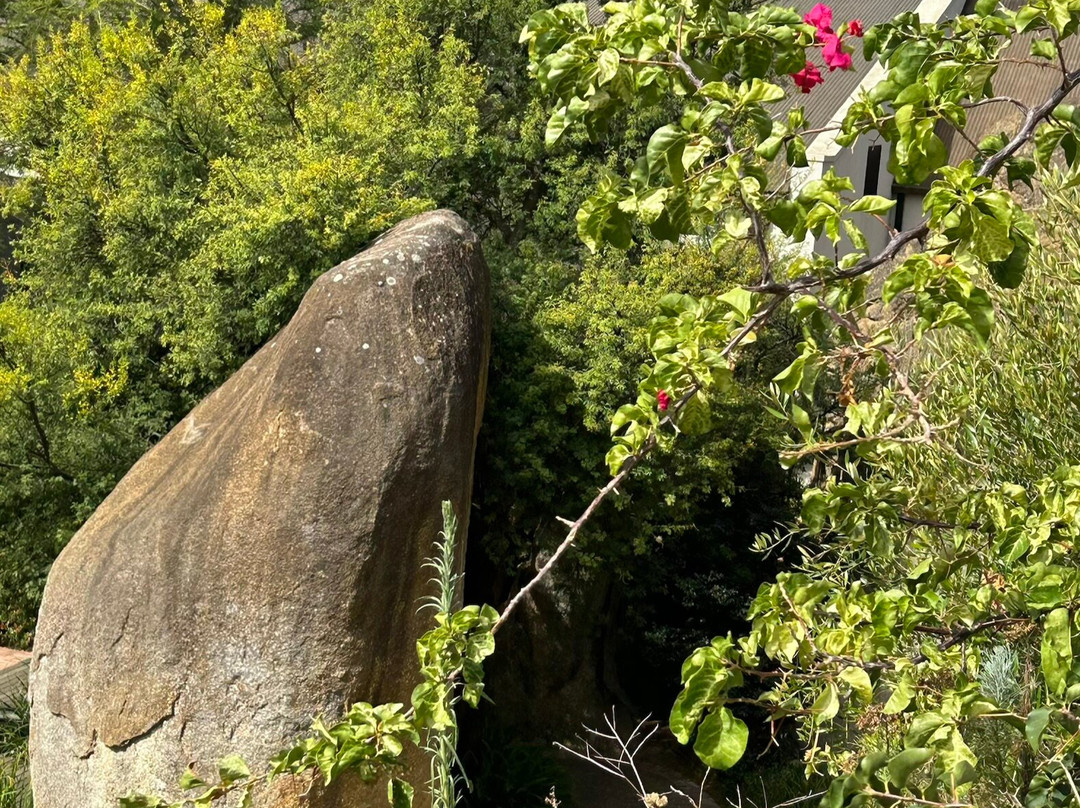 Ernie Els Wines-斯泰伦博斯必去景点