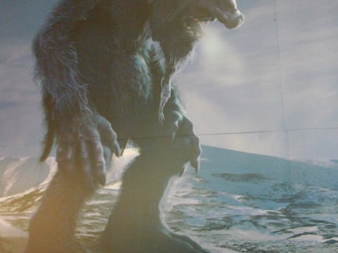 Troll Museum-特罗姆瑟必去景点