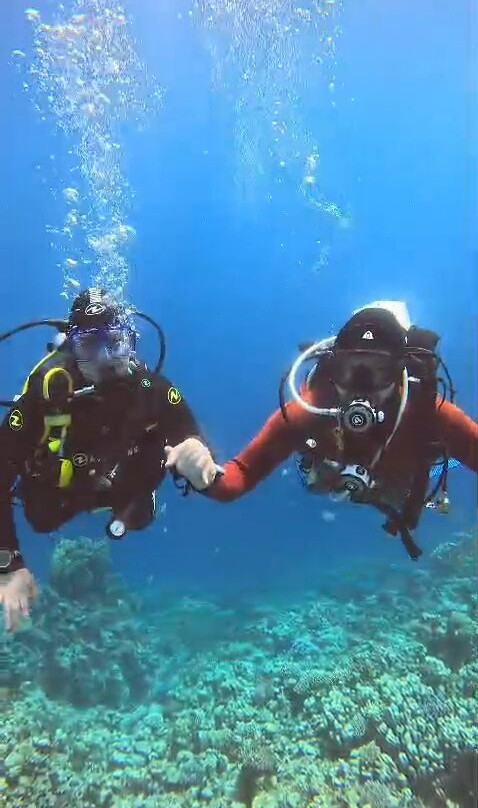 ORCA Dive Club Soma Bay-索马湾必去景点