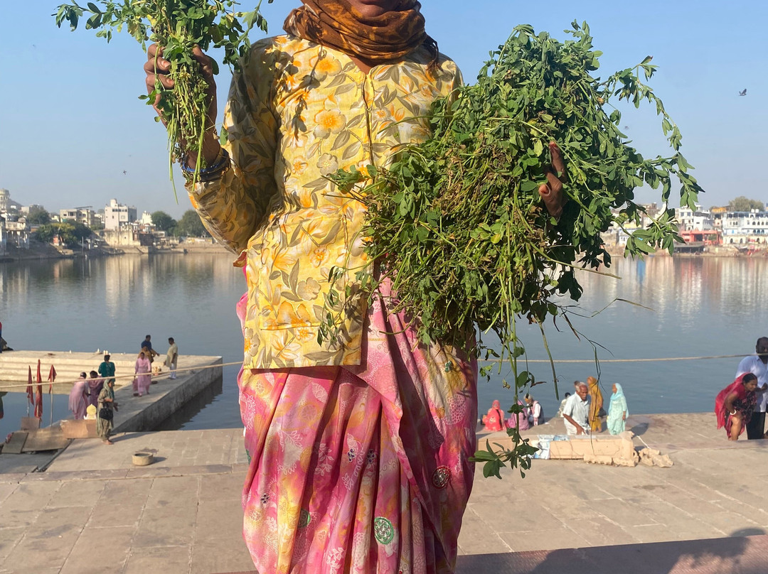 Raju's Private Tours-斋蒲尔必去景点