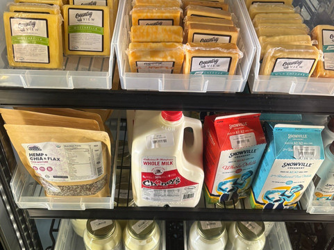 Lionheart Local-拉韦纳必去景点