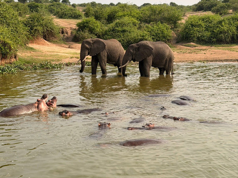 BUGOLI ADVENTURES LIMITED-卡巴莱必去景点