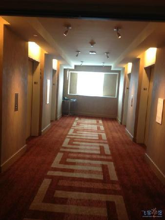 旧金山马克霍普金斯洲际酒店主图