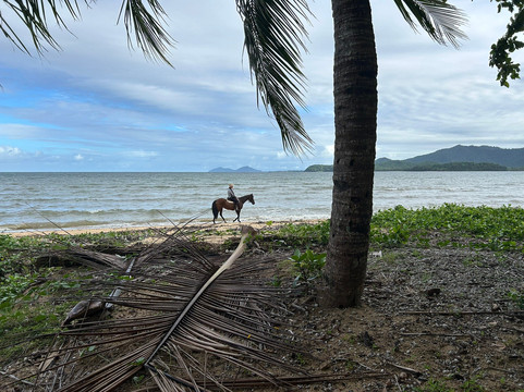 国王礁度假酒店主图