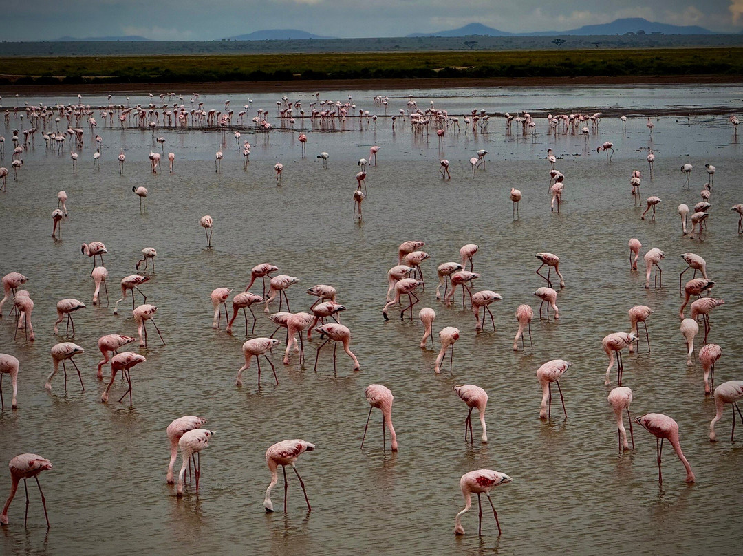 Extra Miles Unique Adventures-Sekenani必去景点