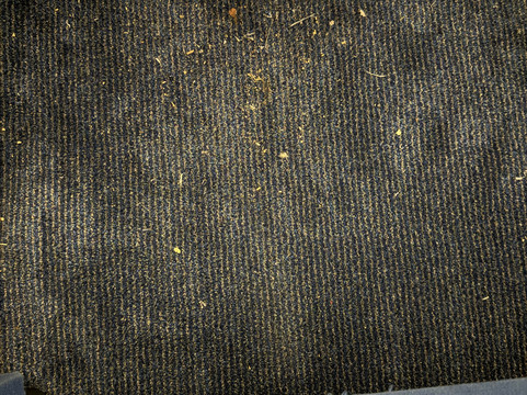 惠灵顿萨默塞特旅屋酒店主图