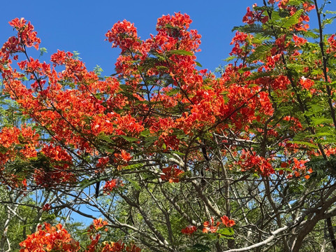 Galapagos Best Option-阿约拉港必去景点