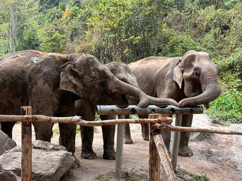 Chang Chill-Mae Win必去景点