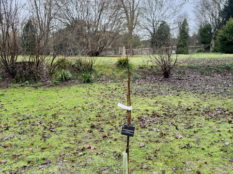 The Friars-Aylesford必去景点