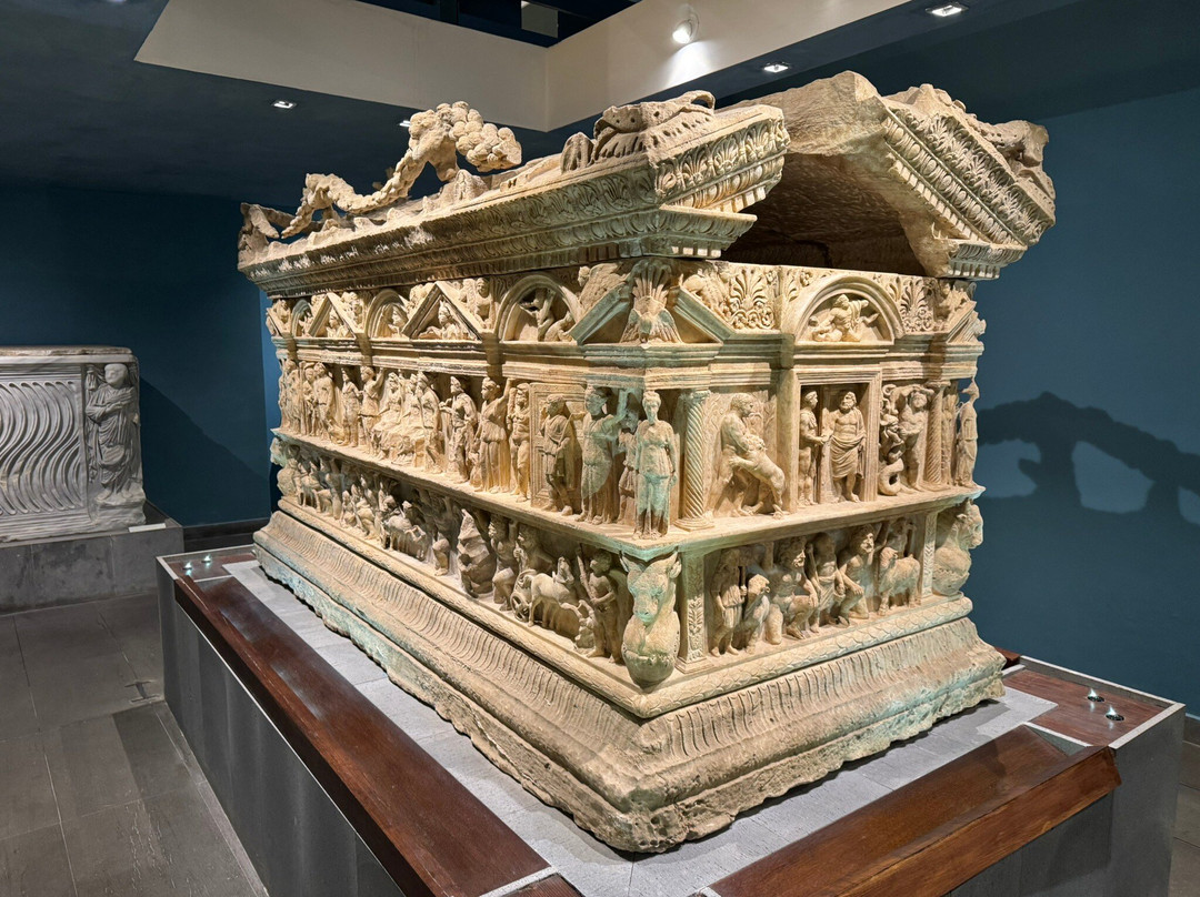 Museo Civico di Geopaleontologia e Preistoria dei Colli Albani-韦莱特里必去景点
