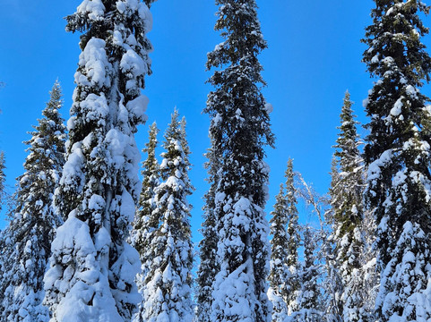 Lapland Travel-Akaslompolo必去景点
