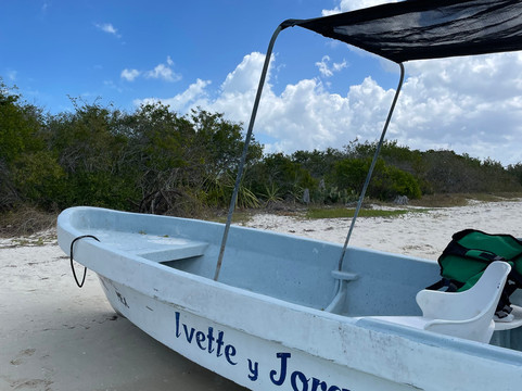 Río Lagartos Experience By Jorge N-里奥拉加托斯必去景点