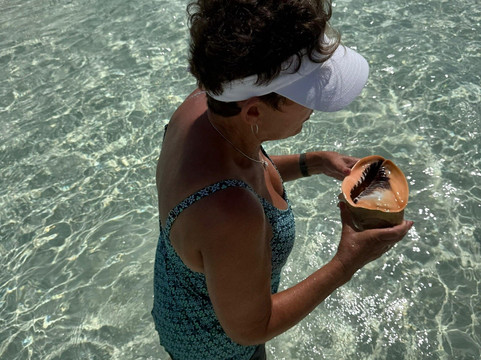 True Blue Charters | Spanish Wells Bahamas Guide-Spanish Wells必去景点