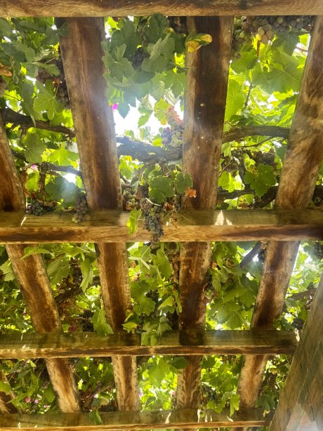 维纳斯奎若罗酒店-官方