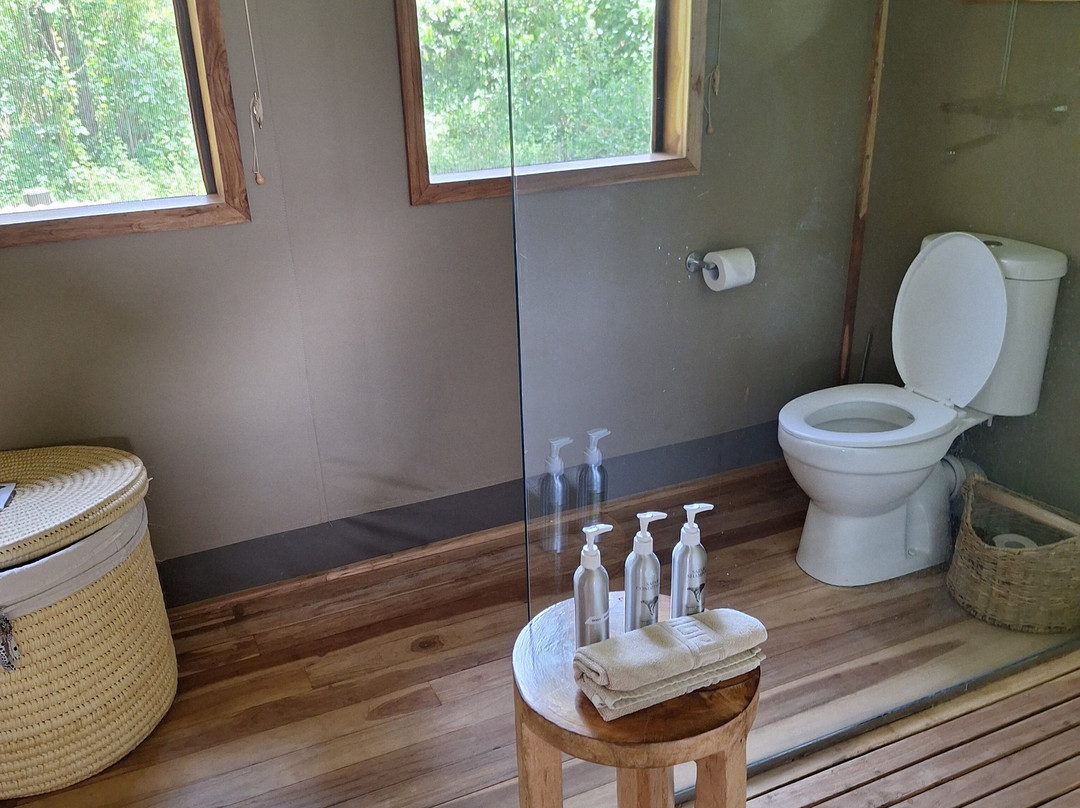 Face 2 Face Safaris-查佛必去景点