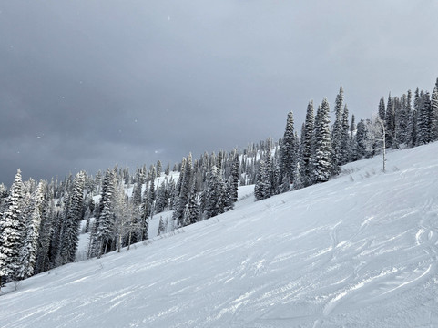 Brundage Mountain Resort-McCall必去景点