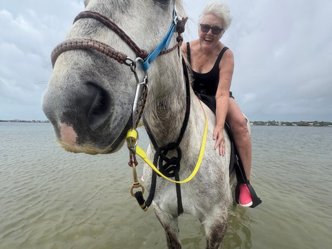 Florida Beach Horses-布雷登顿必去景点
