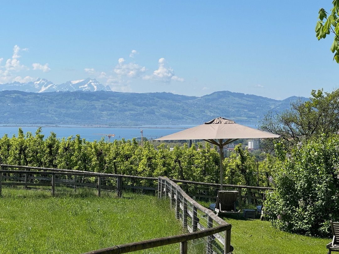 Weissensberg酒店住宿-Hotel Montfort Schlössle