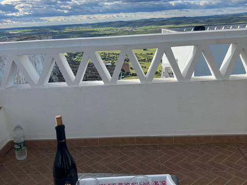 安东尼亚女士的家主图