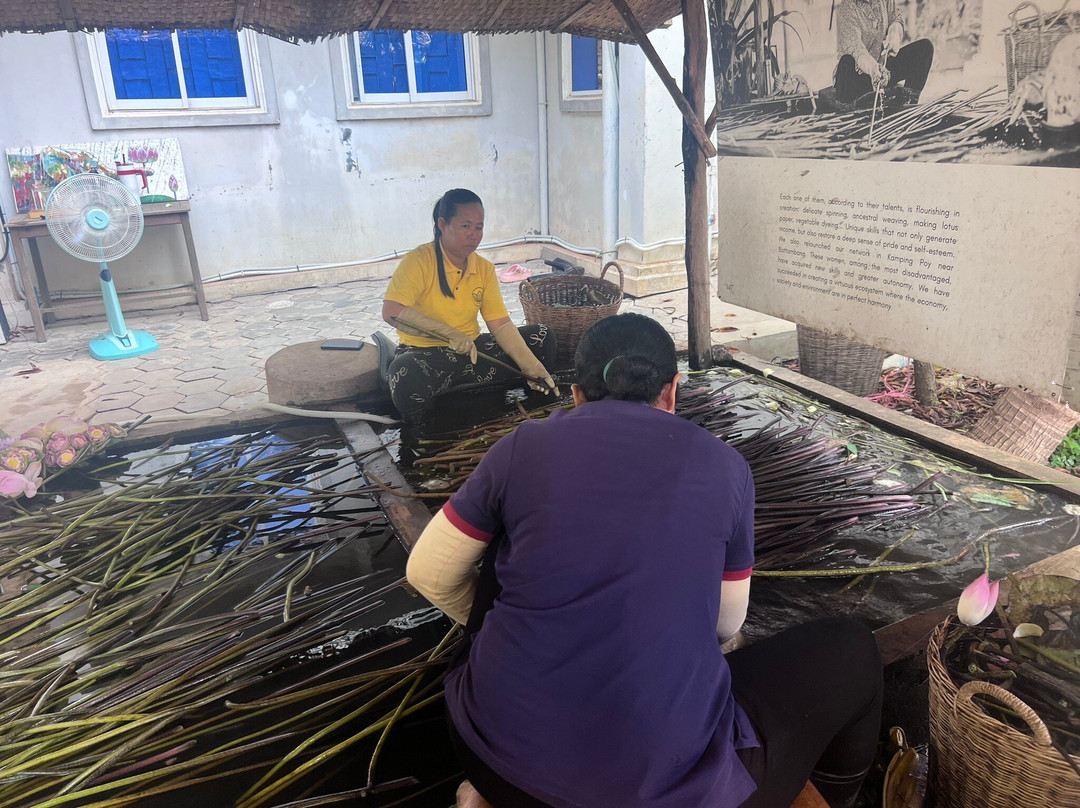 Lotus Farm Siem Reap-暹粒必去景点