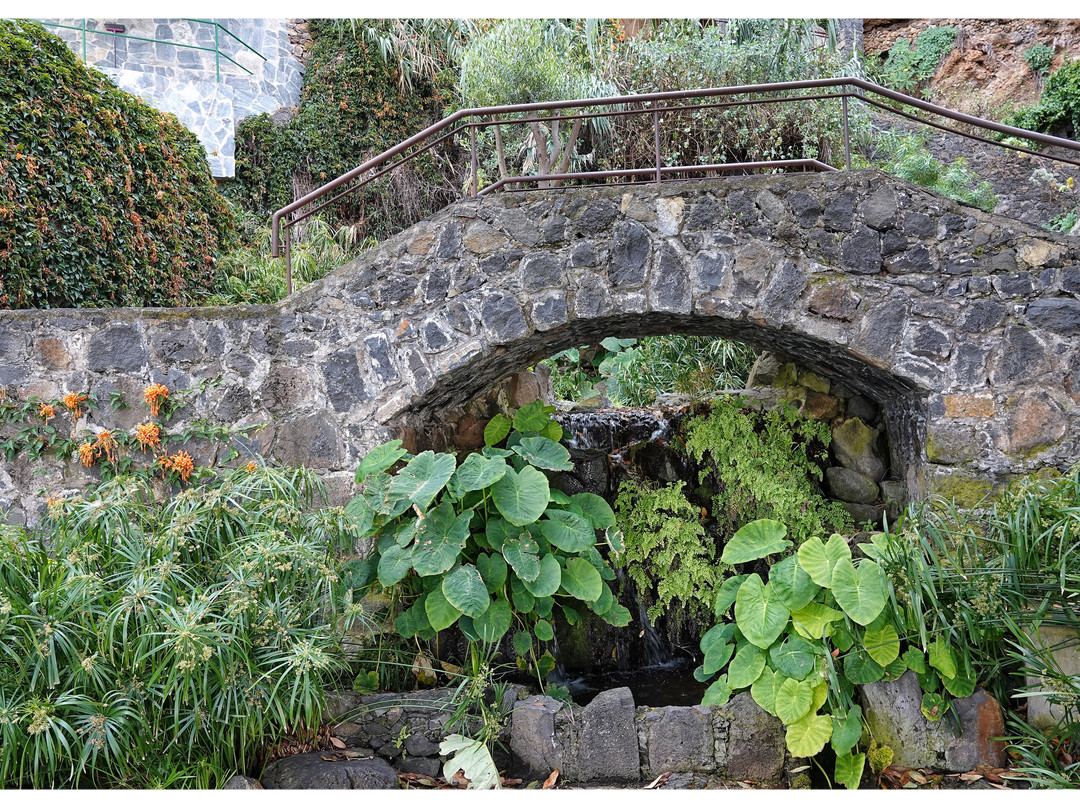 Parque Mirador Los Lavaderos-El Sauzal必去景点
