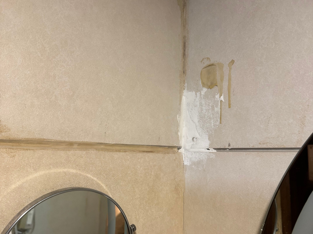 丽晶塔中央哈利姆加拉巴鲁奇酒店主图