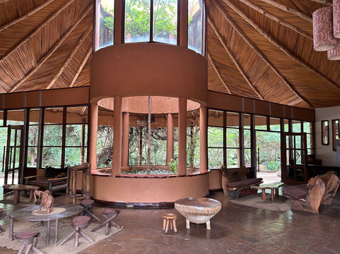 Designer Safari-内罗毕必去景点