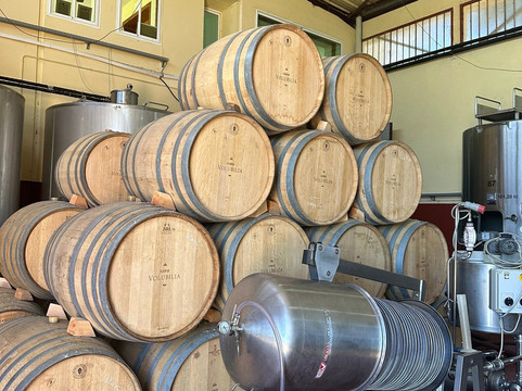 Volubilia-Domaine de la Zouina-梅克内斯必去景点