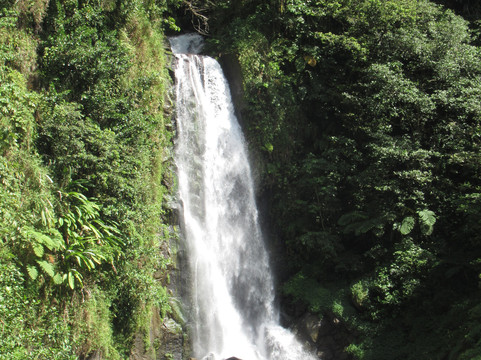 Trafalgar Falls-Morne Trois Pitons National Park必去景点