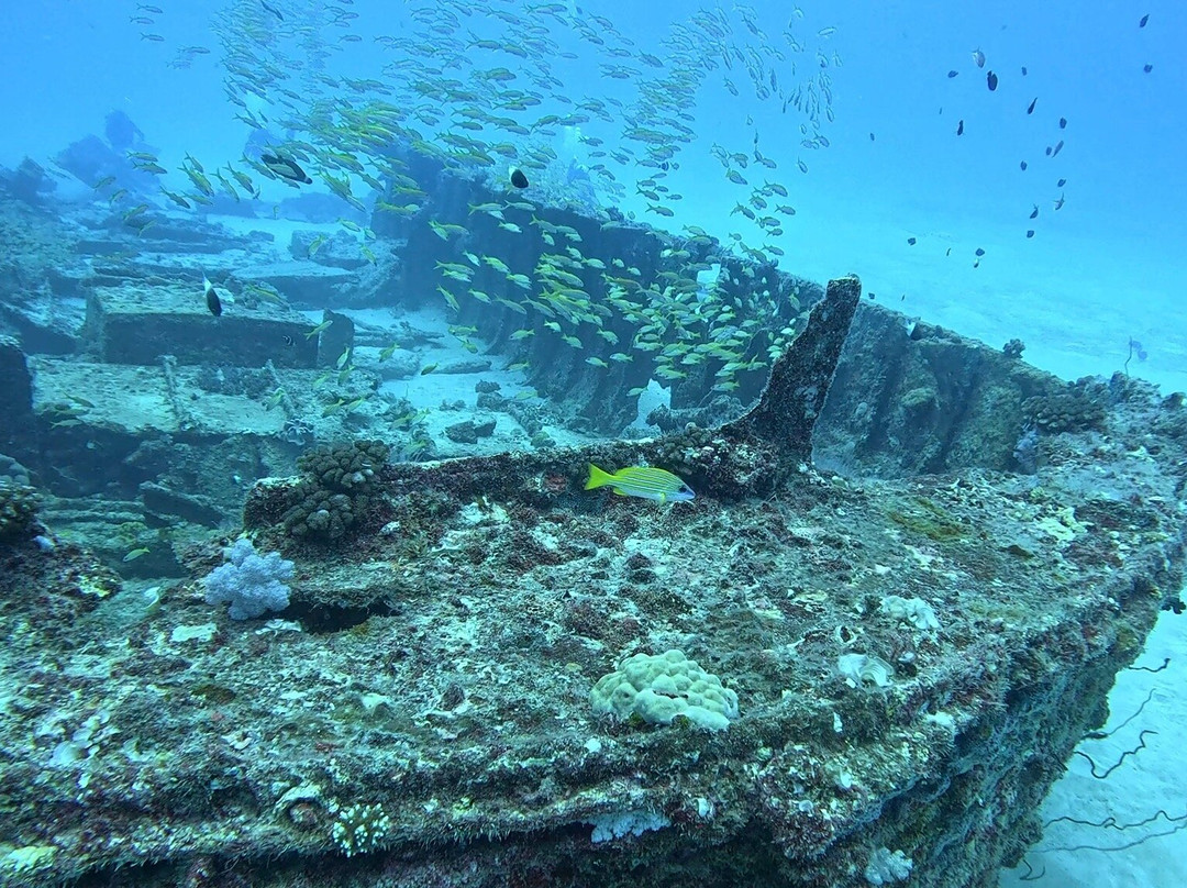 Bigorno Diving Center Mauritius-卓欧毕雪必去景点