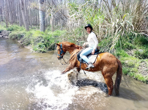 Pegasus Riding Centre-Orgiva必去景点