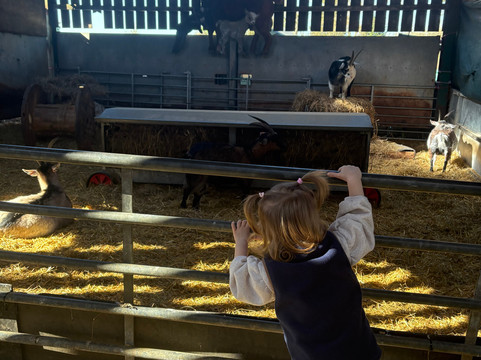Thrift Farm-Whaddon必去景点