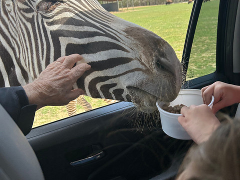 Texas Zoofari Park-Kaufman必去景点