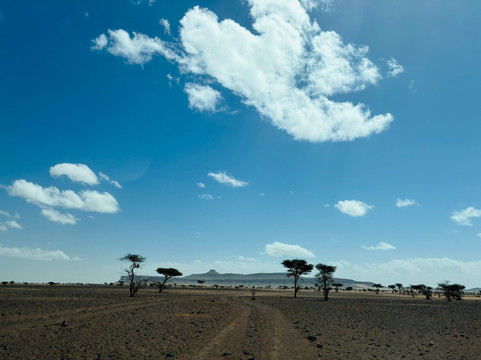 艾绿洲旅馆主图