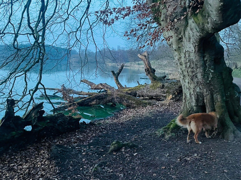Talkin Tarn Park-卡莱尔必去景点