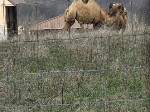 The Wilds-Cumberland必去景点