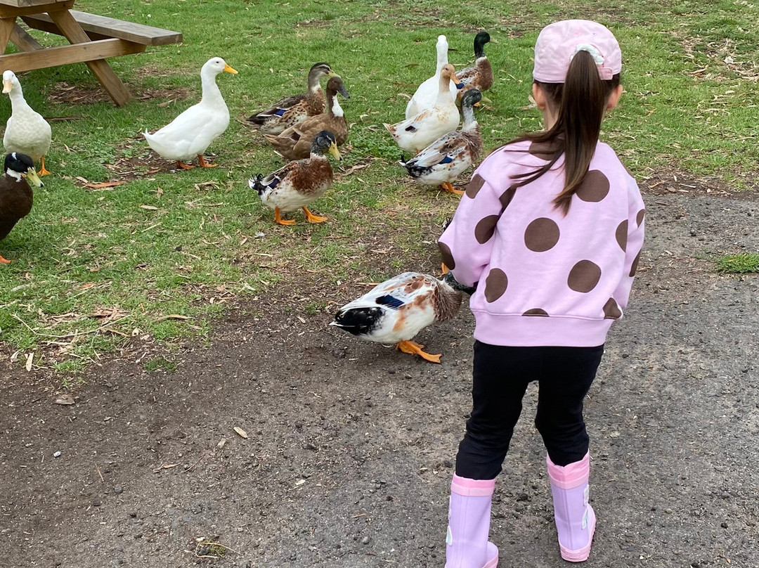 Animal Land Children's Farm-Diggers Rest必去景点